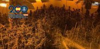 Cuatro detenidos con 140 kilos de marihuana y armas en viviendas de Córdoba
