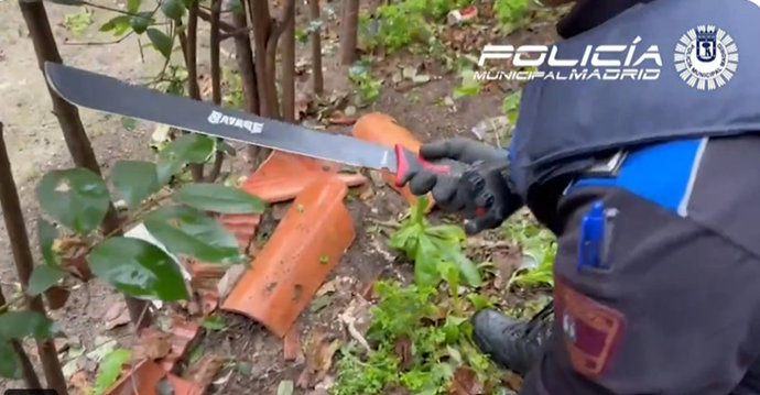 Vídeo de la noticia