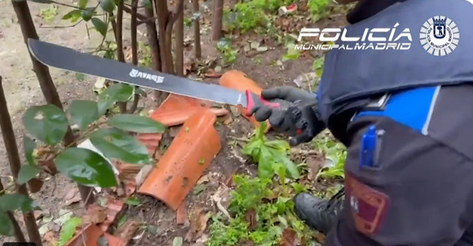 Vídeo de la noticia