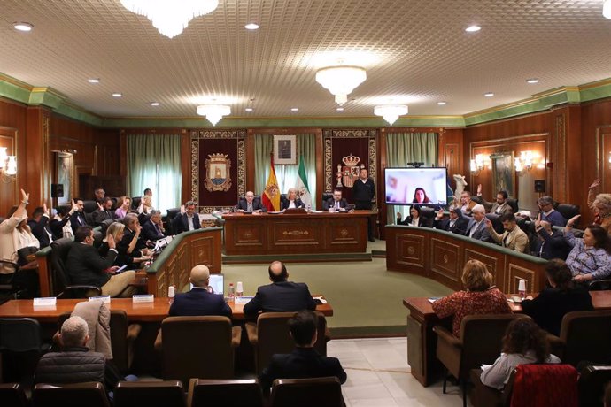 Pleno en el Ayuntamiento de Marbella en febrero.
