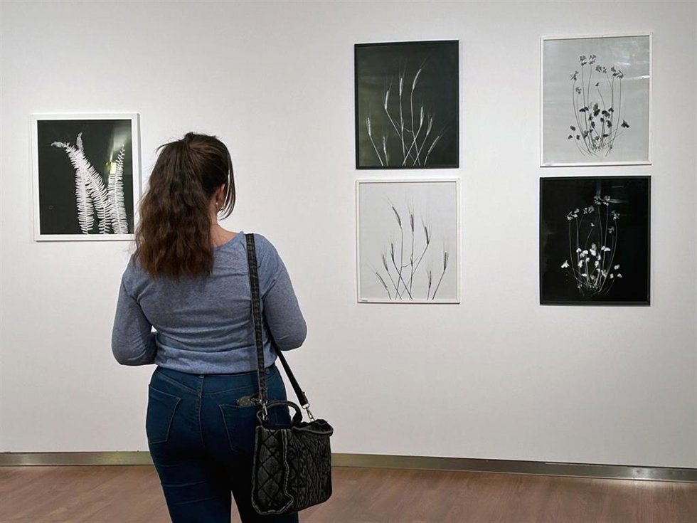 El Centro Cultural Fundación Unicaja de Antequera acoge hasta el 31 de mayo la exposición fotográfica Entre luces y sombras del fotógrafo, escritor, docente e ingeniero técnico industrial Juan Ferrete