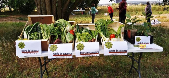 Archivo - Productos de la huerta de Zaragoza.