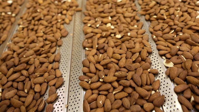 Archivo - Almendras producidas por BAIN