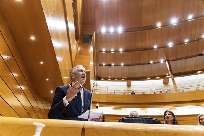 El ministro del Interior, Fernando Grande-Marlaska, interviene durante una sesión plenaria en el Senado, a 20 de febrero de 2024, en Madrid (España). Durante el pleno se han abordado cuestiones como las muertes de los agentes en Barbate, además de las med