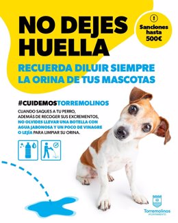 Campaña del Ayuntamiento de Torremolinos sobre animales.