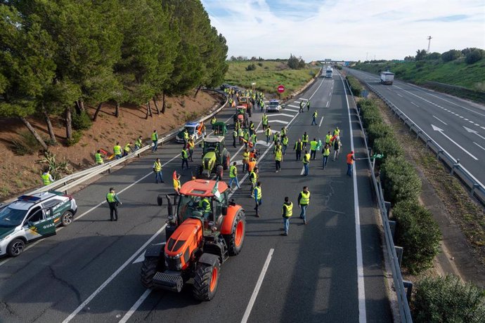 Imagen de archivo de tractores y agricultores cortando la A-4 a la altura del término municipal de Carmona, a 14 de febrero de 2024, en Sevilla, (Andalucía, España). 