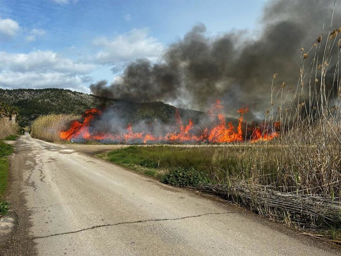 Incendio en s'Albufera de Sa Pobla