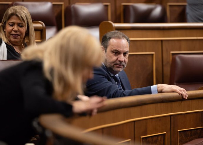 L'exministre de Transports i diputat del PSOE José Luis Ábalos, al Congrés dels Diputats