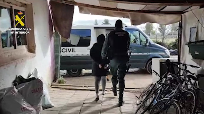 Intervenidos 63 kilos de cogollos de marihuana y más de 400 plantas en una naves en Torrejón