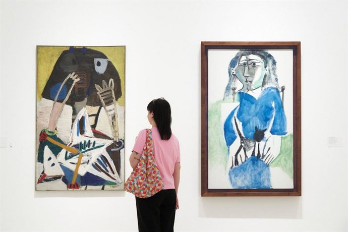 Visitante en Museo Picasso Málaga