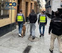 Desmantelado con dos detenciones un punto de venta de droga en una vivienda del centro de Cádiz