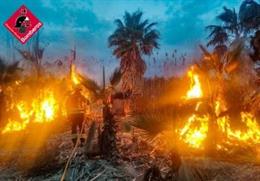 Bombers extingeixen un incendi de vegetació a San Fulgencio