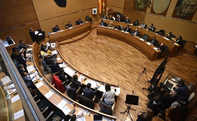 Imatge del ple ordinari de gener de l'Ajuntament de València celebrat aquest dilluns.