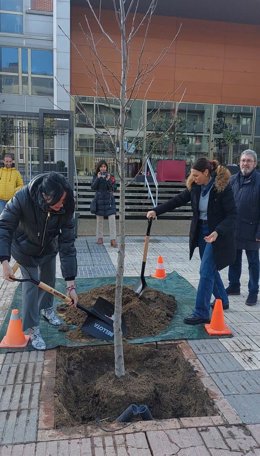 Campaña de plantación en Huesca.