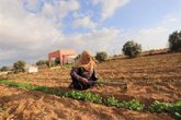 Foto: Los ataques israelíes a campos de cultivo provocan la hambruna de miles de palestinos en el norte de Gaza, según Oxfam