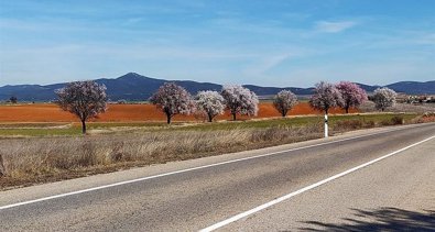 Aragón