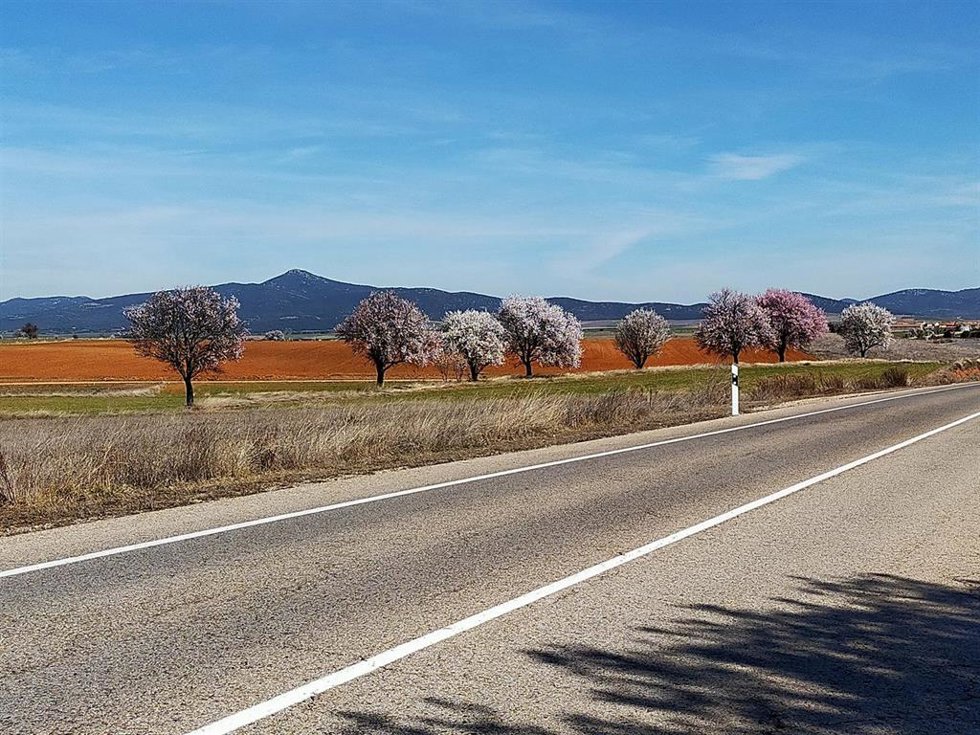 Campo de Romanos entre Nombrevilla y Romanos (ZAragoza). Terrenos donde se pretende ubicar las plantas fotovoltaicas