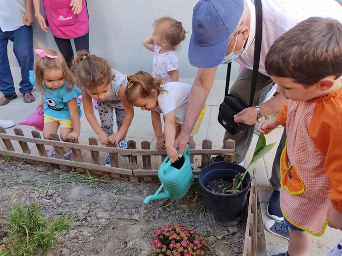 Archivo - Plantación intergeneracional de Macrosad/Archivo