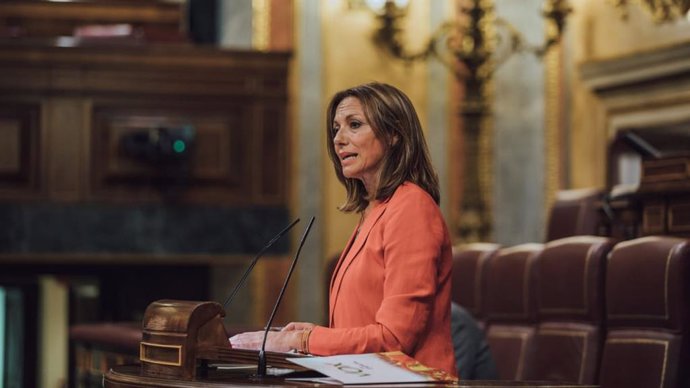 La diputada de Vox en el Congreso por Sevilla Reyes Romero. Imagen de archivo.