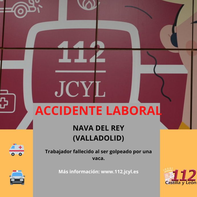 Fallece un trabajador de 62 años al ser golpeado por una vaca en un camino en Nava del Rey (Valladolid)