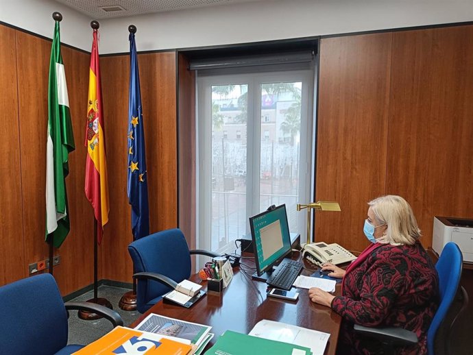 Archivo - La delegada de Salud y Familias en Huelva, Manuela Caro, trabajando en su despacho durante la pandemia.