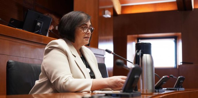 La directora general de Mayores, Ana Isabel Berges, ha comparecido este martes en la comisión de Bienestar Social y FamiliaCortes de Aragón