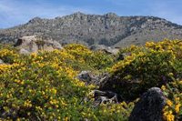 Ecologistas celebran que el Parlamento Europeo ratifique el Reglamento sobre la Restauración de la Naturaleza