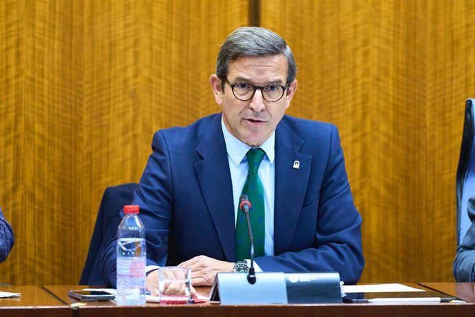 El consejero de Industria, Energía y Minas, Jorge Paradela, en Comisión parlamentaria en una foto de archivo.