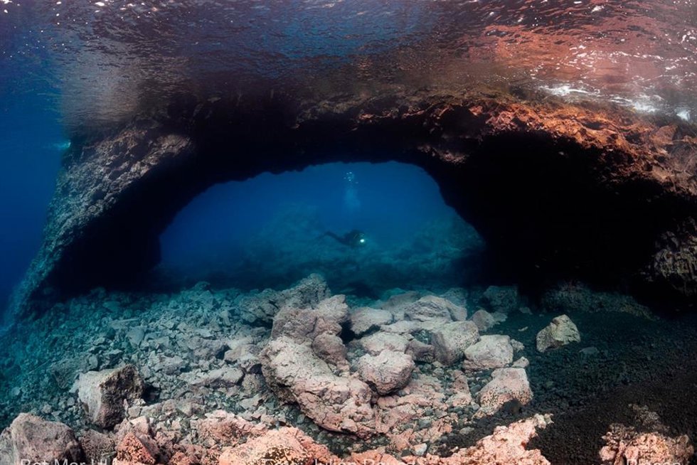 Un estudio demuestra que los peces han sido los más rápidos en ocupar los deltas lávicos del volcán de Tajogaite, seguidos por los invertebrados y, más lentamente, las macroalgas.