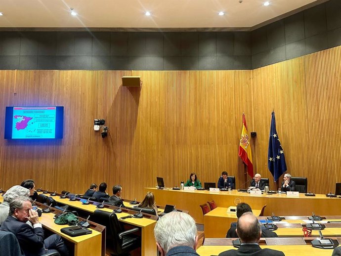 Un momento de la jornada en el Congreso.