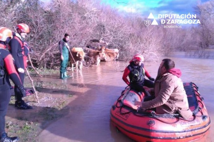 Bomberos de la DPZ comienzan las intervenciones en Alcalá del Ebro por la crecida del río