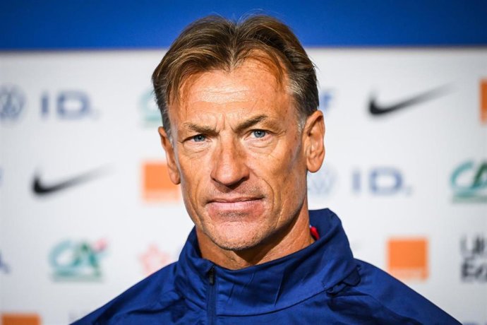 Hervé Renard, seleccionador francés de fútbol femenino.