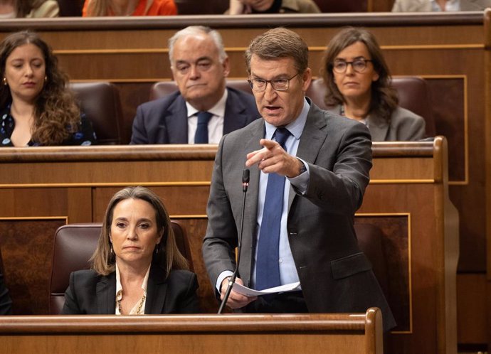 El presidente del PP, Alberto Núñez Feijóo, interviene durante una sesión de control al Gobierno, en el Congreso de los Diputados, a 28 de febrero de 2024, en Madrid (España). La implicación de Koldo García Izaguirre, que fue asesor del exministro socia