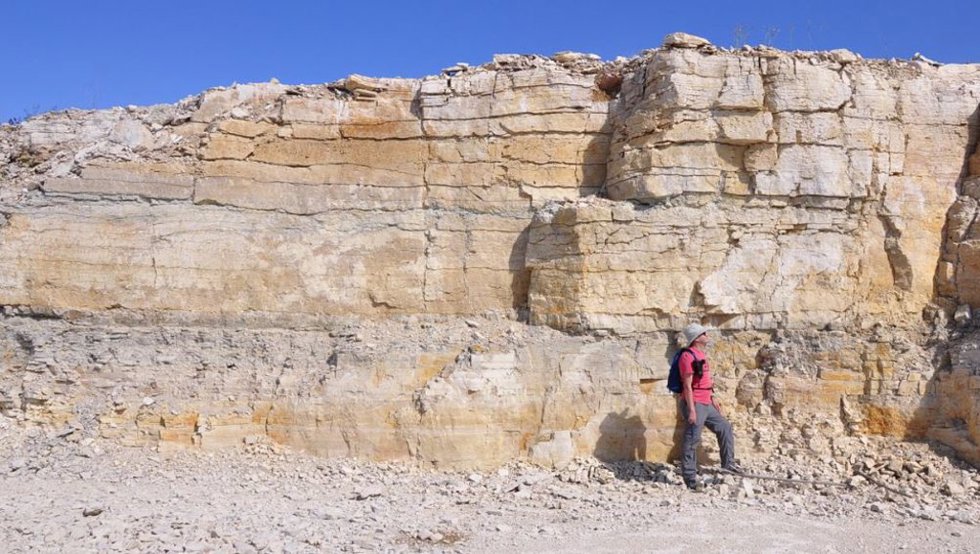 El profesor asistente de USask, Colin Sproat, se encuentra junto a un muro de una cantera al norte de The Pas, Man., uno de los sitios donde los investigadores encontraron evidencia de un antiguo tsunami.