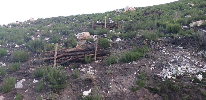 Principado y Gobierno trabajan en la recuperación de las zonas afectadas por los incendios de abril en Redes y Ponga