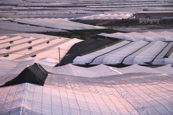 Archivo - Invernaderos de Almería