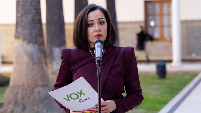 La diputada del grupo parlamentario Vox en el Parlamento de Andalucía y vicepresidente tercera de la Mesa, Mercedes Rodríguez Tamayo.