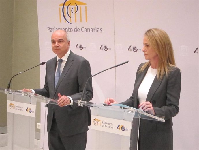 El diputado del Grupo Nacionalista, José Alberto Díaz-Estébanez, y la portavoz del Grupo Popular, Luz Reverón, en la rueda de prensa para anunciar la solicitud de una comisión de investigación sobre compra de mascarillas en Canarias