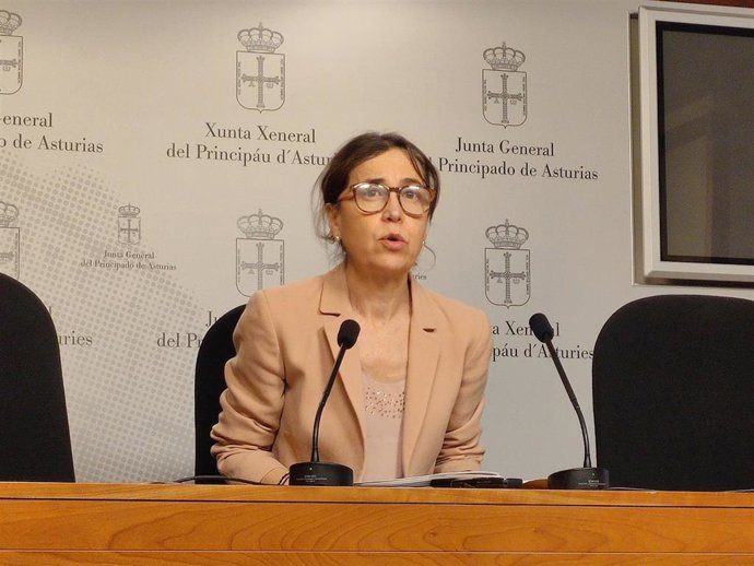 La portavoz del PSOE en la Junta General, Dolores Carcedo