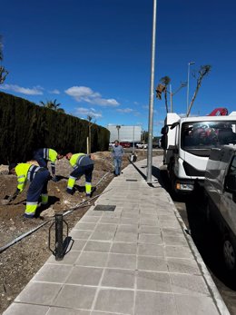 Plantación de una veintena de jacaranda en el acceso peatonal al centro comercial Jaén Plaza desde la zona norte.