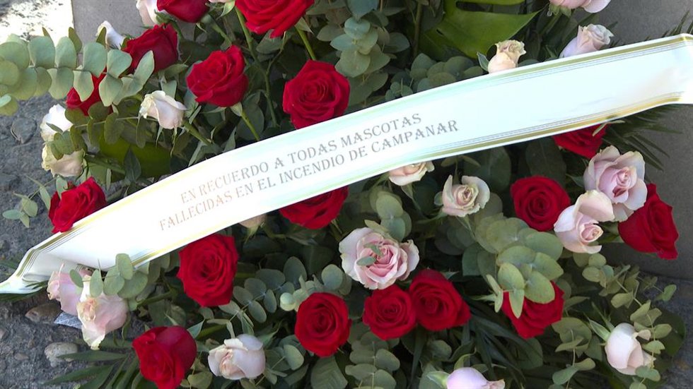 Flores, peluches y velas en recuerdo de las víctimas y mascotas fallecidas en el