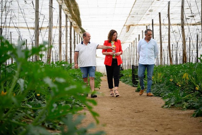 Archivo - Visita de la dirigente del PP a una explotación agrícola.