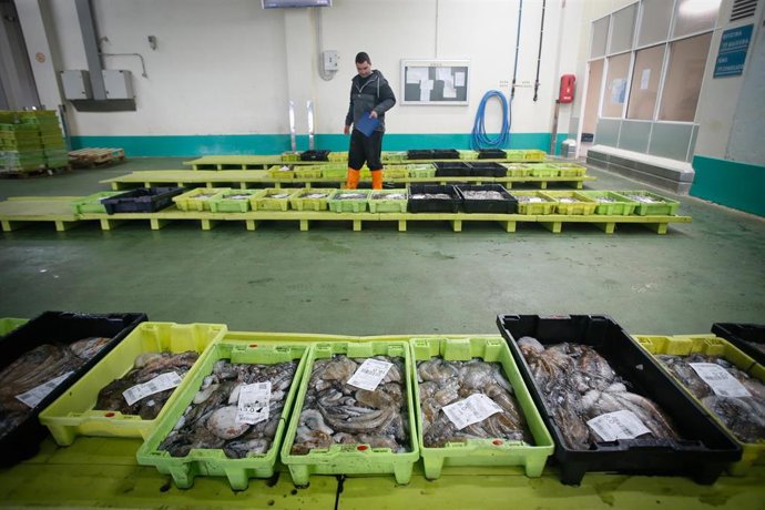 Archivo - Un operario de la lonja trabaja tras una salida a faenar del barco Mariñeiro 2, a 27 de diciembre de 2023, en Lugo, Galicia (España). El barco Mariñeiro 2, con base en Burela, suele pescar pulpo, nécoras, centollas y santiaguiños, algunos 