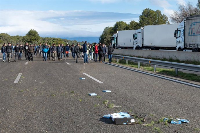 Los agricultores en Pontós al empezar los cortes el martes