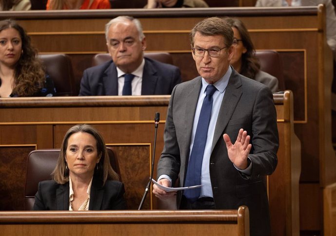 El líder del PP, Alberto Núñez Feijóo, interviene durante una sesión de control al Gobierno, en el Congreso de los Diputados, a 28 de febrero de 2024, en Madrid (España). La implicación de Koldo García Izaguirre, que fue asesor del exministro socialista