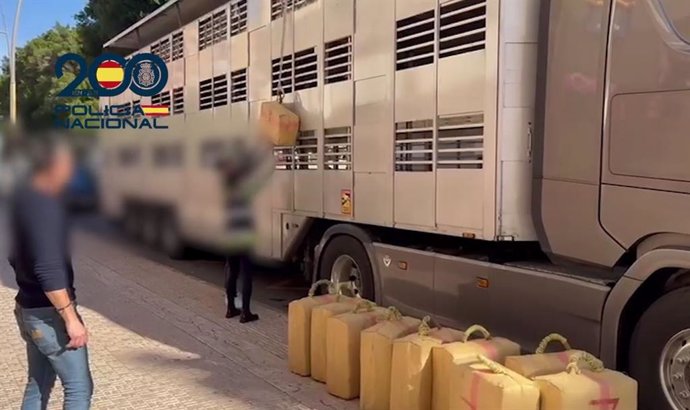 Detenido en la A-7 en Almería con 470 kilos de hachís ocultos en un doble fondo de un tráiler de transporte de animales