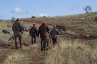 IU presentará mociones en los ayuntamientos para evitar que se pueda cazar en caminos y vías pecuarias de C-LM