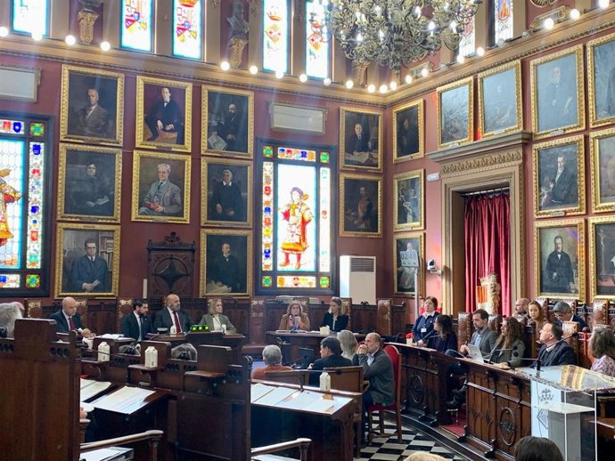 Pleno del Ayuntamiento de Palma