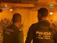 Desmantelada una plantación de marihuana indoor en Santa Pola (Alicante) vigilada con cámaras y con un perro