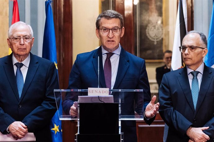 El presidente del Partido Popular, Alberto Núñez Feijóo (c), presenta una iniciativa en la Cámara Alta del Senado, a 29 de febrero de 2024, en Madrid (España). La iniciativa tiene que ver con la restitución de bonificaciones a las empresas que están errad